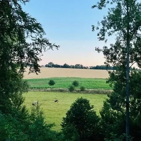 Caledonia - Maison Familiale 4 Avec Jardin Clos - Cote D'albatre *